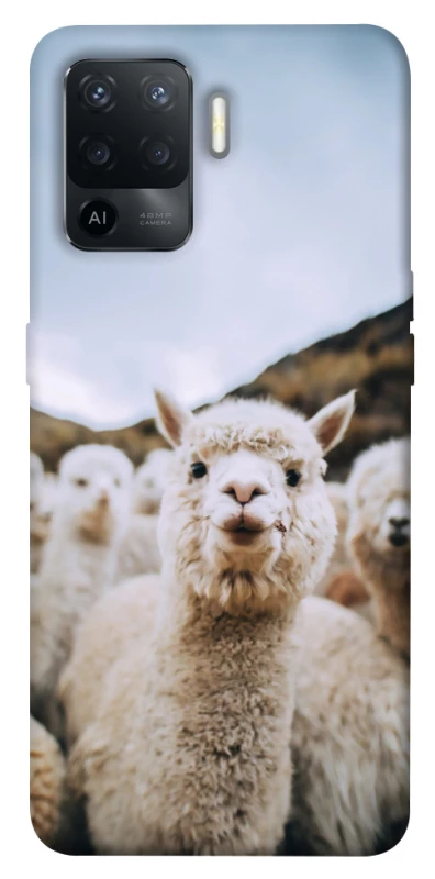 Чохол на Oppo Reno 5 Lite Лама фото 1 з 1