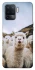 Чохол на Oppo Reno 5 Lite Лама фото 1 з 1