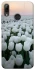 Чохол на Huawei P Smart (2019) Flowers v1 фото 1 з 1