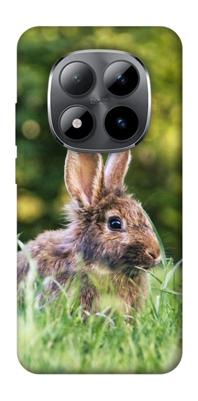Чехол на Xiaomi Redmi Note 15 Pro 5G Кролики фото 1 из 1