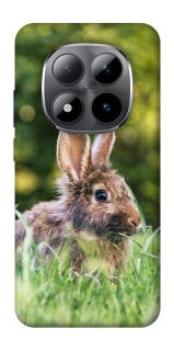 Чехол на Xiaomi Redmi Note 15 Pro 5G Кролики фото 1 из 1