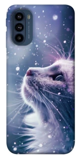 Чехол на Motorola Moto G41 Snow cat фото 1 из 1