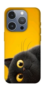 Чохол на Apple iPhone 16 Pro This is Cat фото 1 з 1
