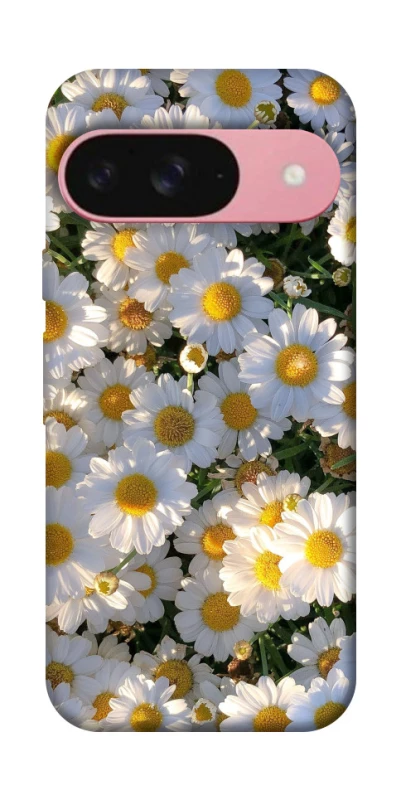 Чохол на Google Pixel 9 Поле ромашок фото 1 з 1