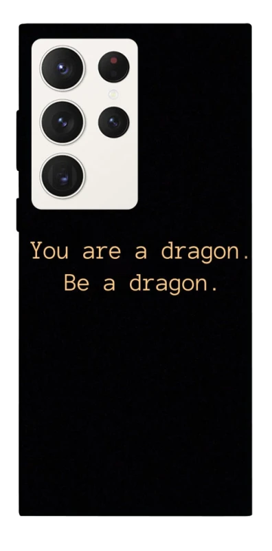 Чехол на Samsung Galaxy S23 Ultra House of the Dragon ver.9 фото 1 из 1