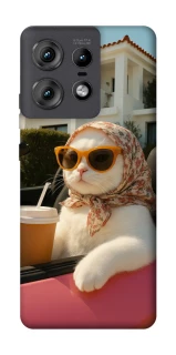 Чехол на Motorola Edge 50 Pro Stylish Cat Cruise фото 1 Чехол на Motorola Edge 50 Pro Stylish Cat Cruise фото 1 из 1