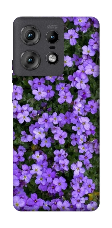 Чохол на Motorola Edge 50 Pro Flowers v17 фото 1 з 1