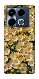 Чохол на Infinix Note 40 4G Camomile фото 1 з 1