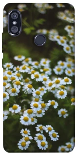 Чехол на Xiaomi Redmi Note 5 Pro / Note 5 (AI Dual Camera) Ромашки v13 фото 1 из 1