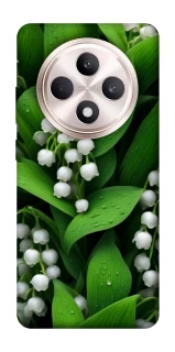 Чохол на Oppo Reno 12 F 4G/5G Flowers v24 фото 1 з 1