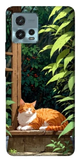 Чохол на Motorola Moto G72 red cat фото 1 з 1