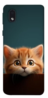 Чохол на Samsung Galaxy M01 Core / A01 Core Чохол Кошеня фото 1 з 1