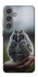 Чехол на Samsung Galaxy S24+ Совёнок фото 1 из 1