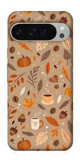 Чехол на Google Pixel 9 Pro XL Autumn vibes ver.6 фото 1 из 1