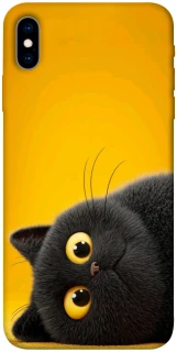 Чохол на Apple iPhone X (5.8") This is Cat фото 1 з 1