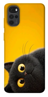 Чохол на Motorola Moto G22 This is Cat фото 1 з 1