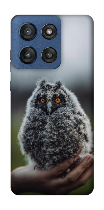 Чехол на Motorola Edge 60 Stylus Совёнок фото 1 из 1