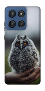 Чехол на Motorola Edge 60 Stylus Совёнок фото 1 из 1