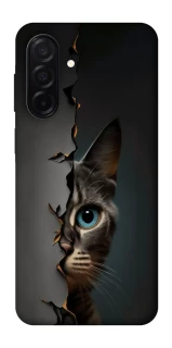 Чехол на Samsung Galaxy A26 5G Кот-подглядыватель v2 фото 1 из 1