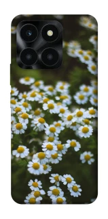 Чехол на Huawei Honor X6a Ромашки v13 фото 1 из 1