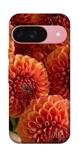 Чохол на Google Pixel 9 Flower1 фото 1 з 1