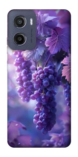 Чехол на Motorola Moto G05 Bunch of grapes фото 1 из 1