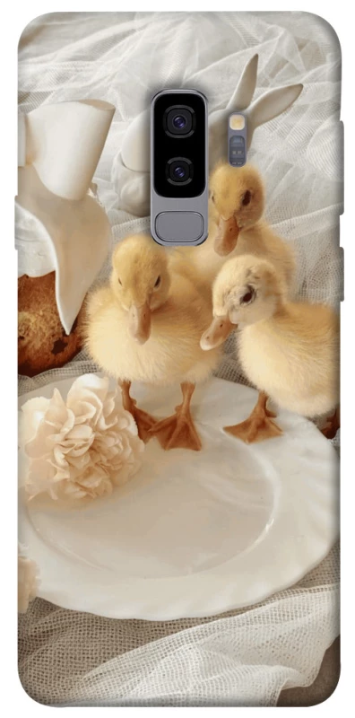 Чехол на Samsung Galaxy S9+ Easter Vibes фото 1 из 1