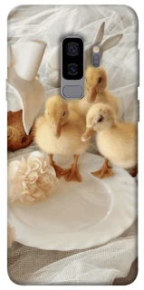 Чехол на Samsung Galaxy S9+ Easter Vibes фото 1 из 1