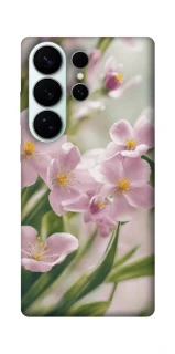 Чохол на Samsung Galaxy S26 Spring фото 1 з 1