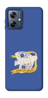 Чехол на Motorola Moto G54 Power Ласточка фото 1 из 1