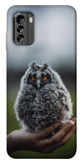 Чохол на Nokia G60 Совеня фото 1 з 1