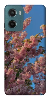 Чохол на Motorola Moto G06 Flowers v4 фото 1 з 1