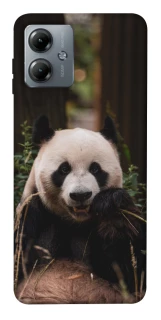 Чохол на Motorola Moto G14 Панда фото 1 з 1