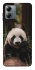 Чохол на Motorola Moto G14 Панда фото 1 з 1