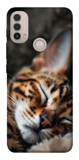 Чохол на Motorola Moto E40 Cat paws фото 1 з 1