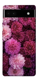 Чохол на Google Pixel 6a Garden1 фото 1 з 1