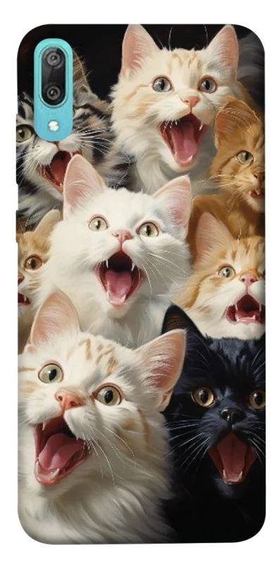 Чохол на Huawei Y6 Pro (2019) Коти фото 1 з 1