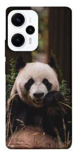 Чехол на Xiaomi Poco F5 / Note 12 Turbo Панда фото 1 из 1
