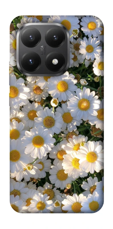 Чехол на Xiaomi 15T Поле ромашек фото 1 из 1