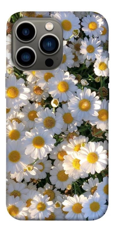 Чохол на Apple iPhone 13 Pro (6.1") Поле ромашок фото 1 з 1