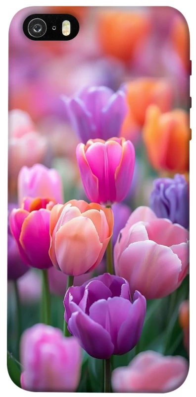 Чохол на Apple iPhone 5/5S/SE Тюльпанове поле фото 1 з 1