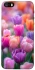 Чохол на Apple iPhone 5/5S/SE Тюльпанове поле фото 1 з 1