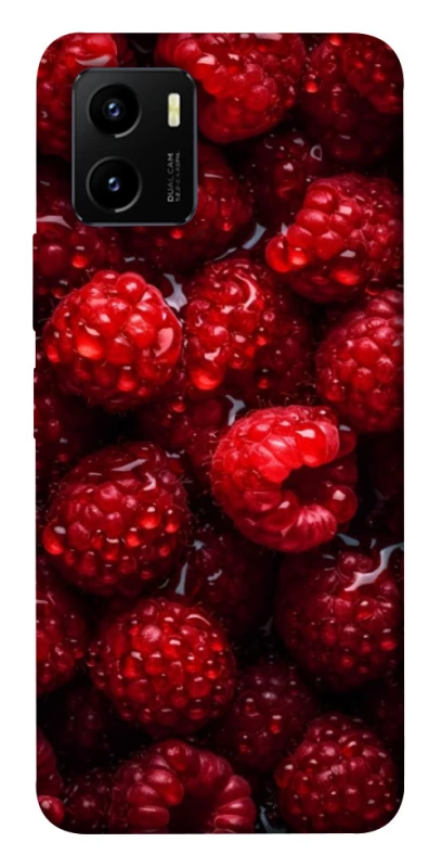 Чохол на Vivo Y15s Малинка фото 1 з 1