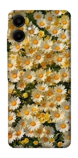 Чохол на Samsung Galaxy A07 Camomile фото 1 з 1