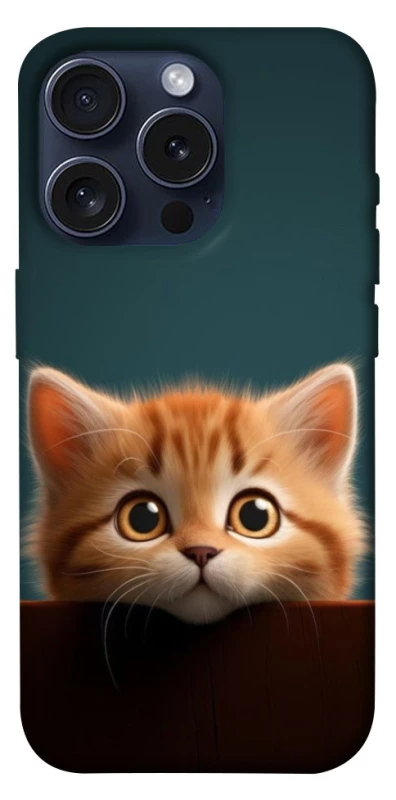 Чохол на Apple iPhone 15 Pro (6.1") Чохол Кошеня фото 1 з 1