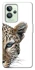 Чохол на Realme GT2 Leopard Art v2 фото 1 з 1