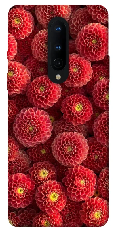 Чохол на OnePlus 8 Midnight1 фото 1 з 1