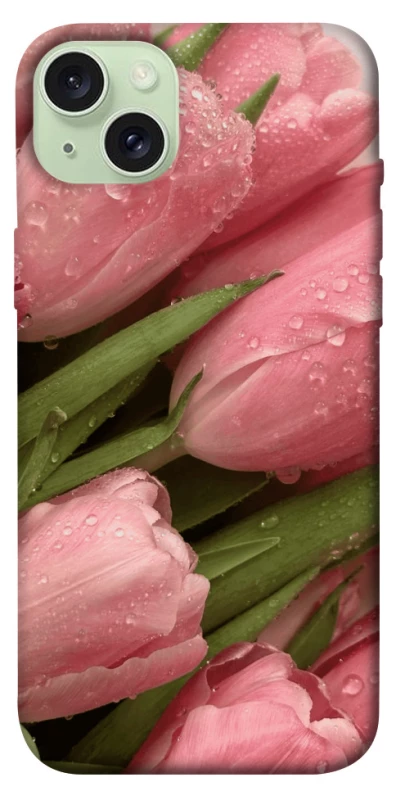 Чохол на Apple iPhone 15 Plus (6.7") Beauty фото 1 з 1