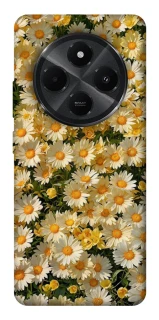 Чохол на Xiaomi Poco M7 Camomile фото 1 з 1