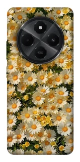 Чохол на Xiaomi Redmi A4 Camomile фото 1 з 1